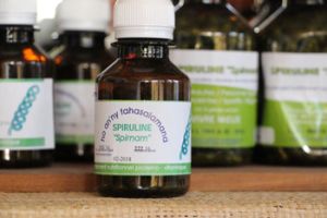 Visit the spirulina farm in Toliara