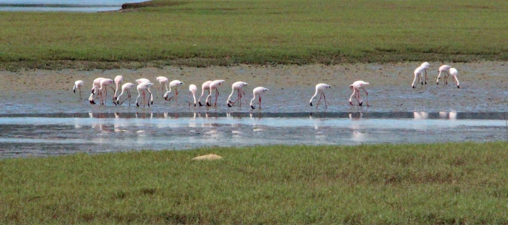 Adventures on land from the Famata Lodge Tulear Madagascar