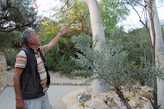 At the Famata Lodge, you will discover many endemic plant species.